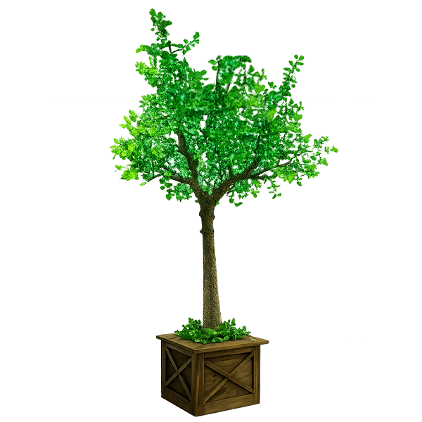 13FT Oak Tree