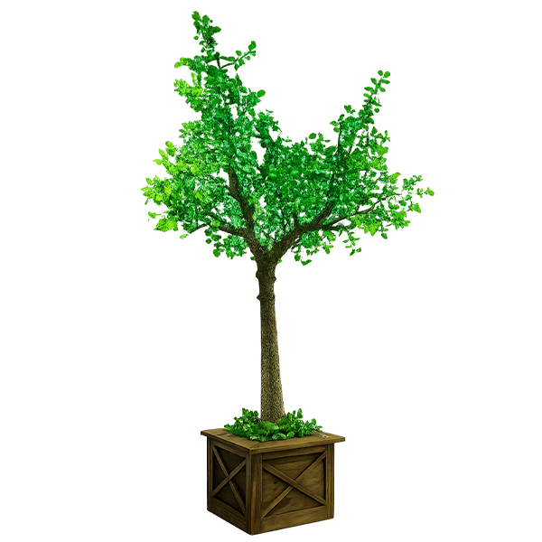 13FT Oak Tree