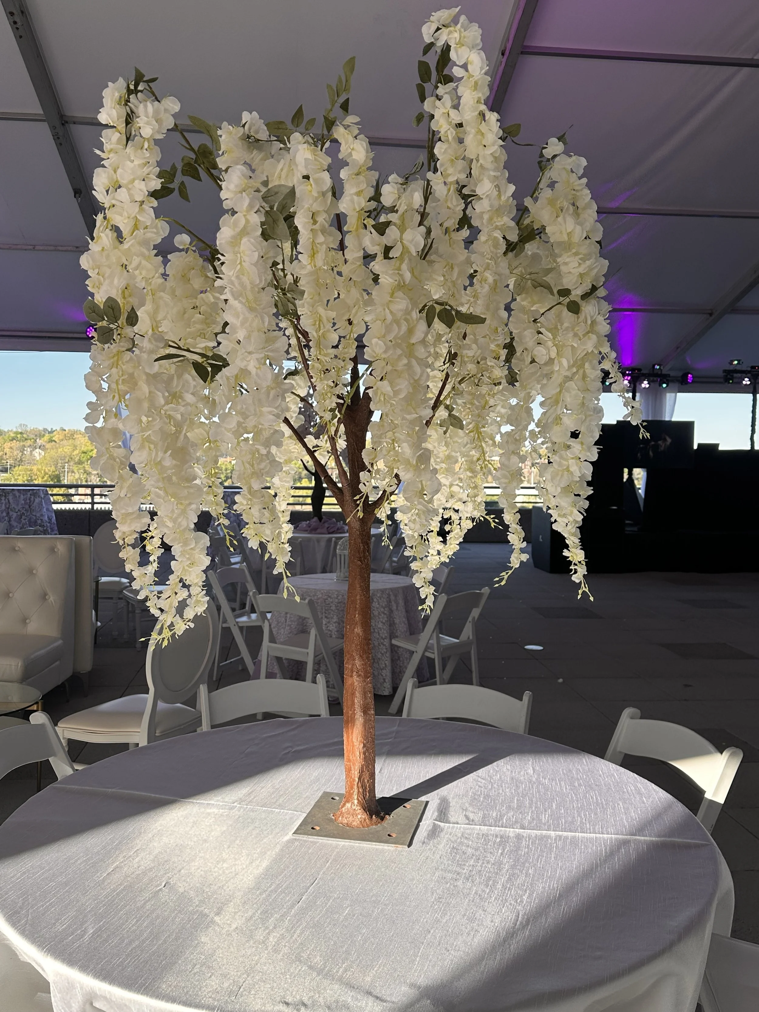 White Whisteria.jpeg