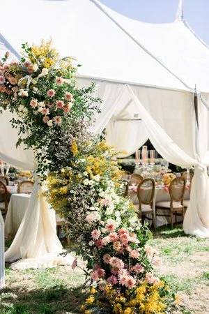 Tent Wall Draping
