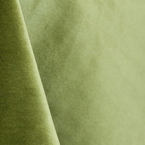 Velvet+-+Leaf+976.jpg