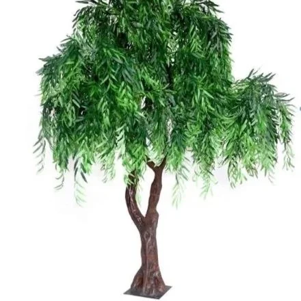 6FT Willow Tree
