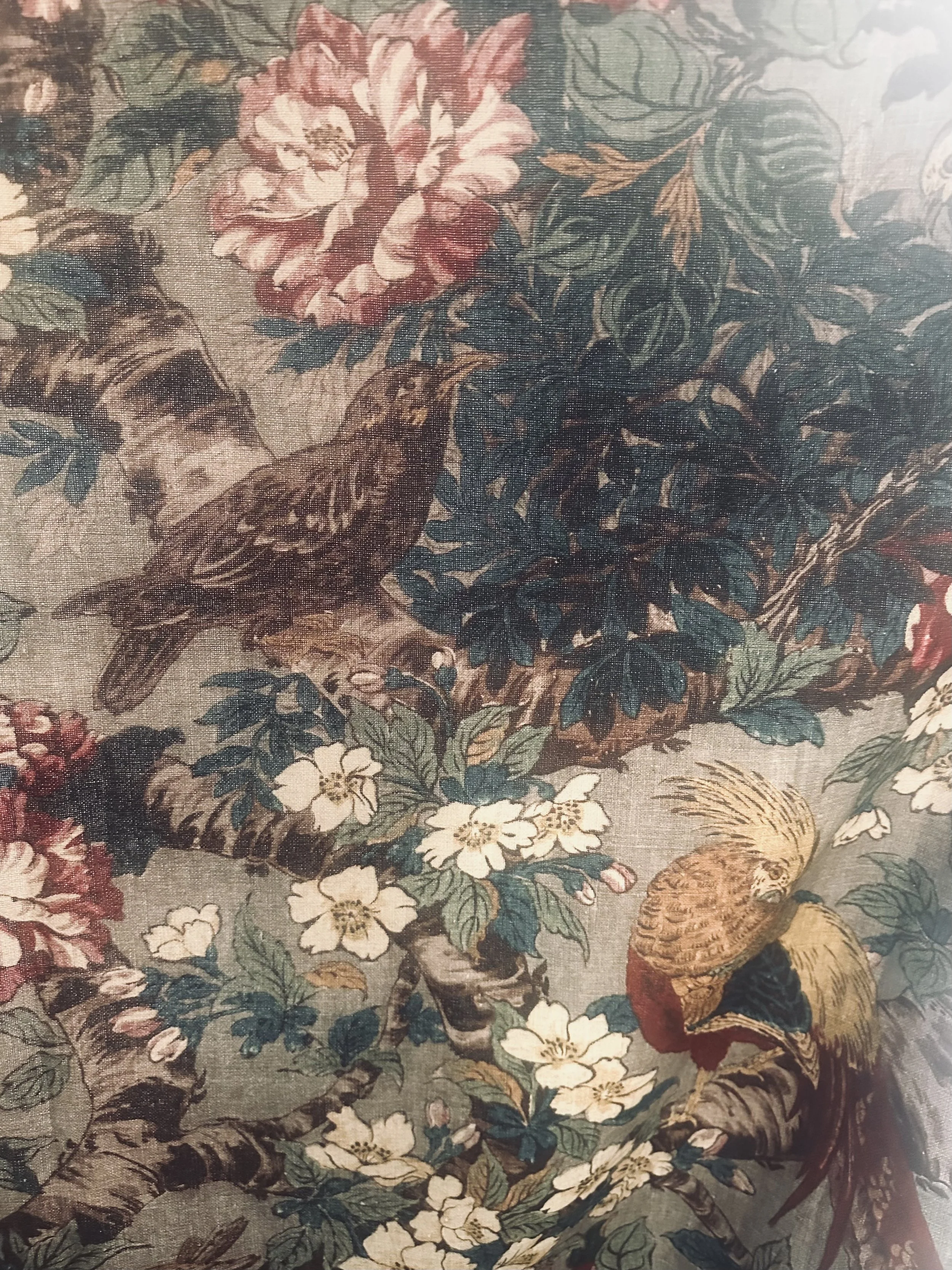 Pheasant Floral