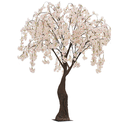 Luma-Designs-Cherry-Blossom-Tree.png