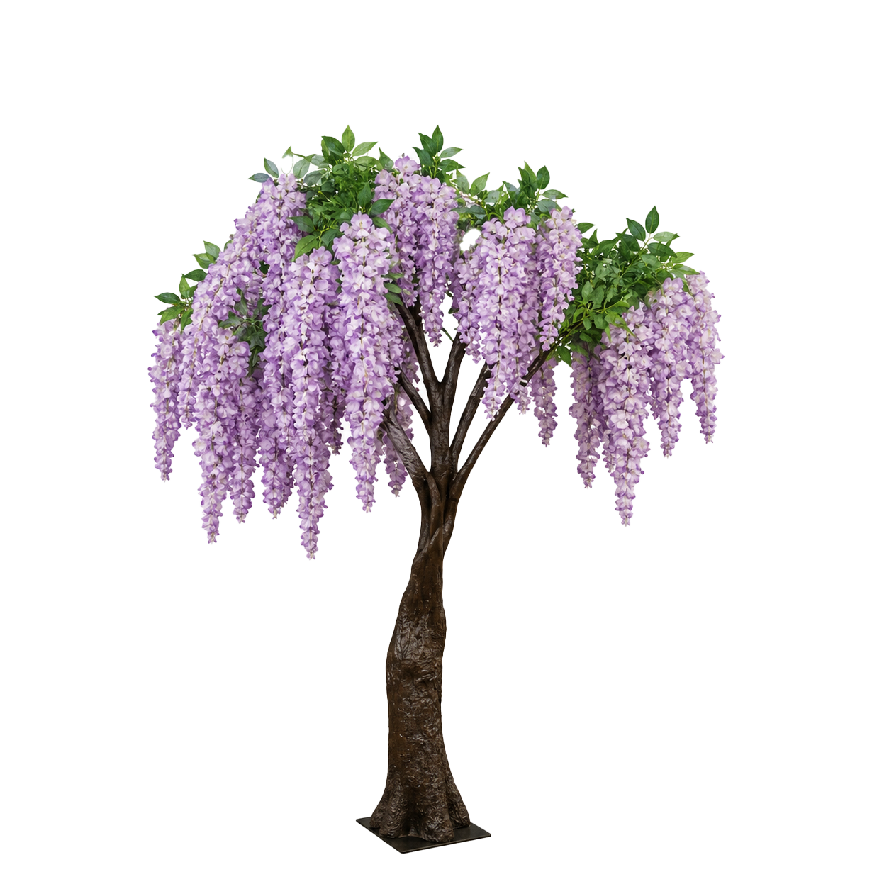 4FT Lavendar Wisteria Tree