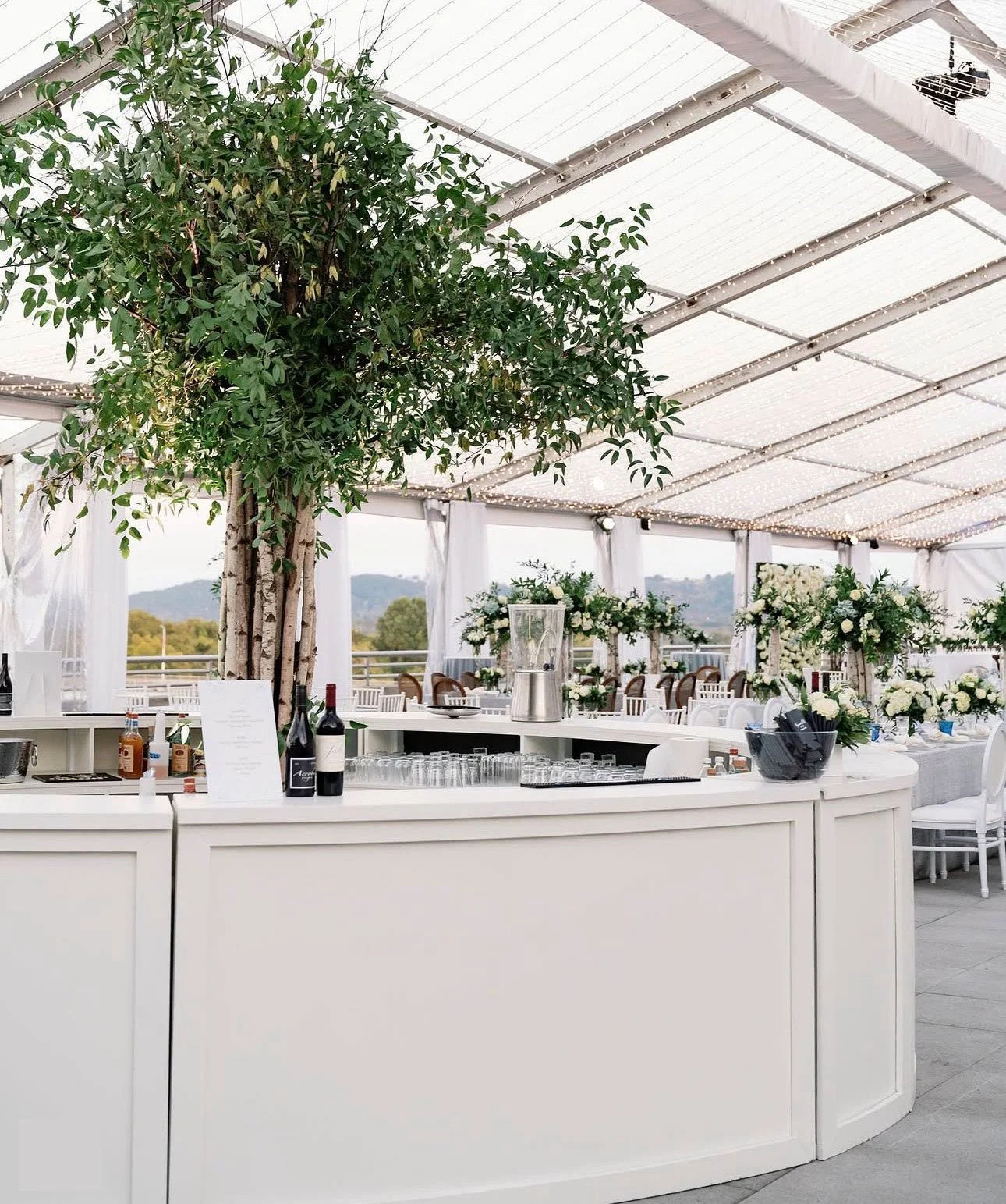 Circle-Bar-with-Joe-Trees.jpg