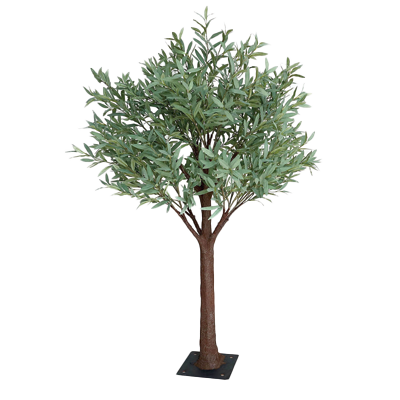 4FT Olive Tree