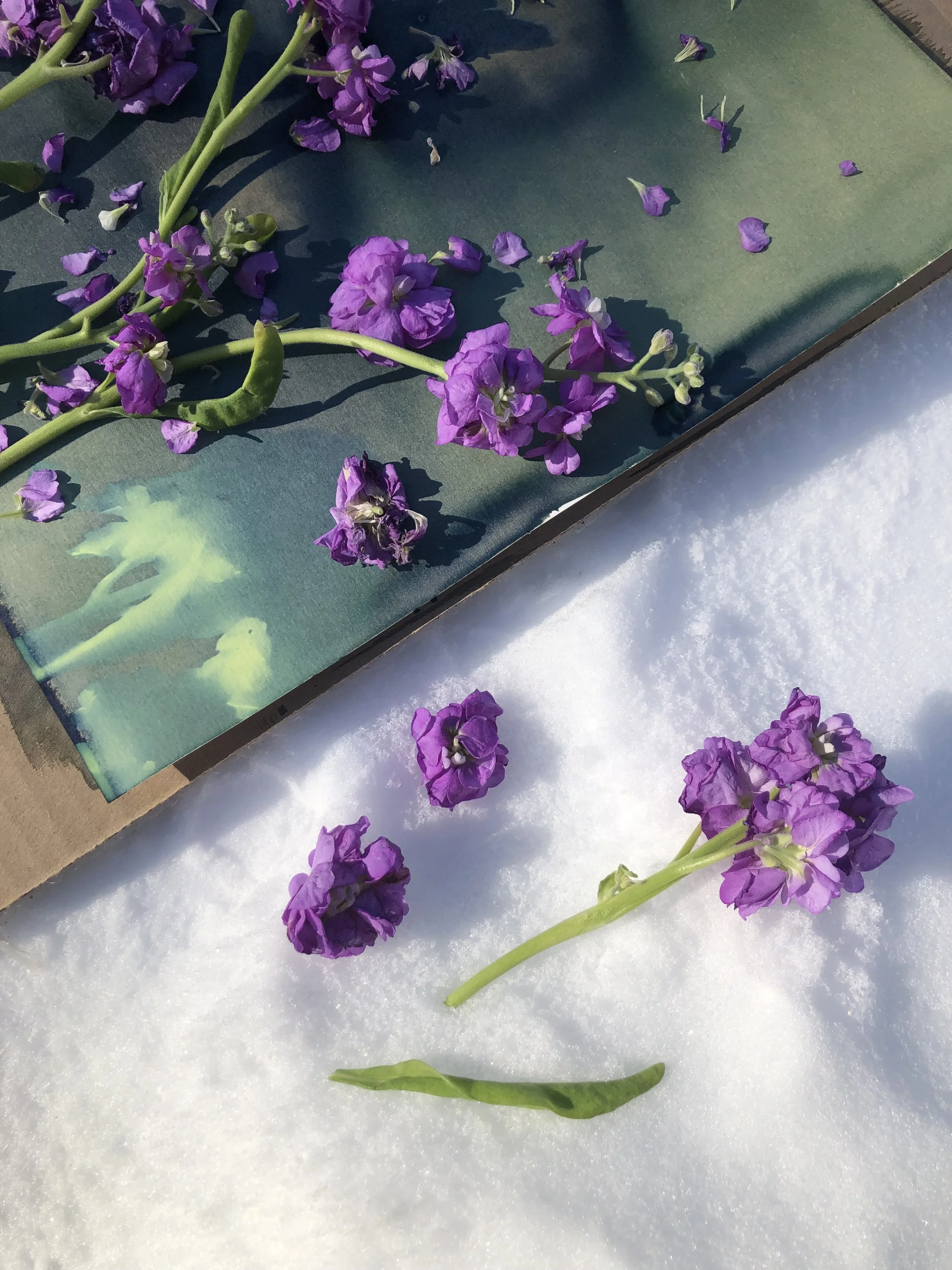 A Quiet Winter, A Creative Start to the Year