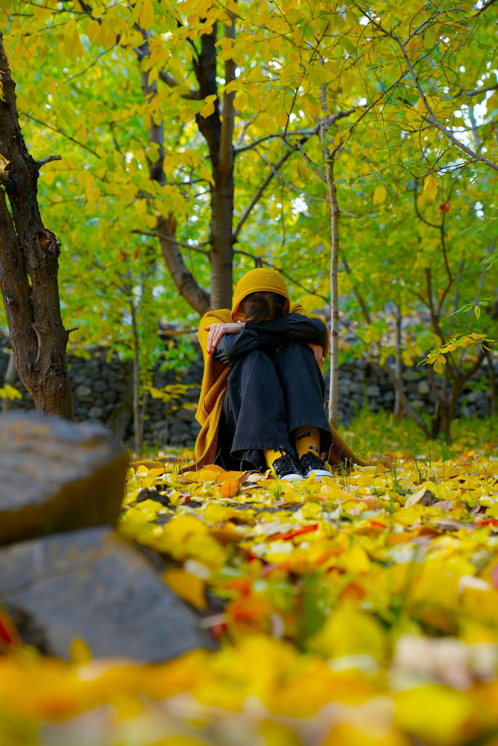 A woman sits with her head on her knees beneath the fall trees as she deals with the seasonal triggers that impact her eating disorder recovery in Orlando, FL.