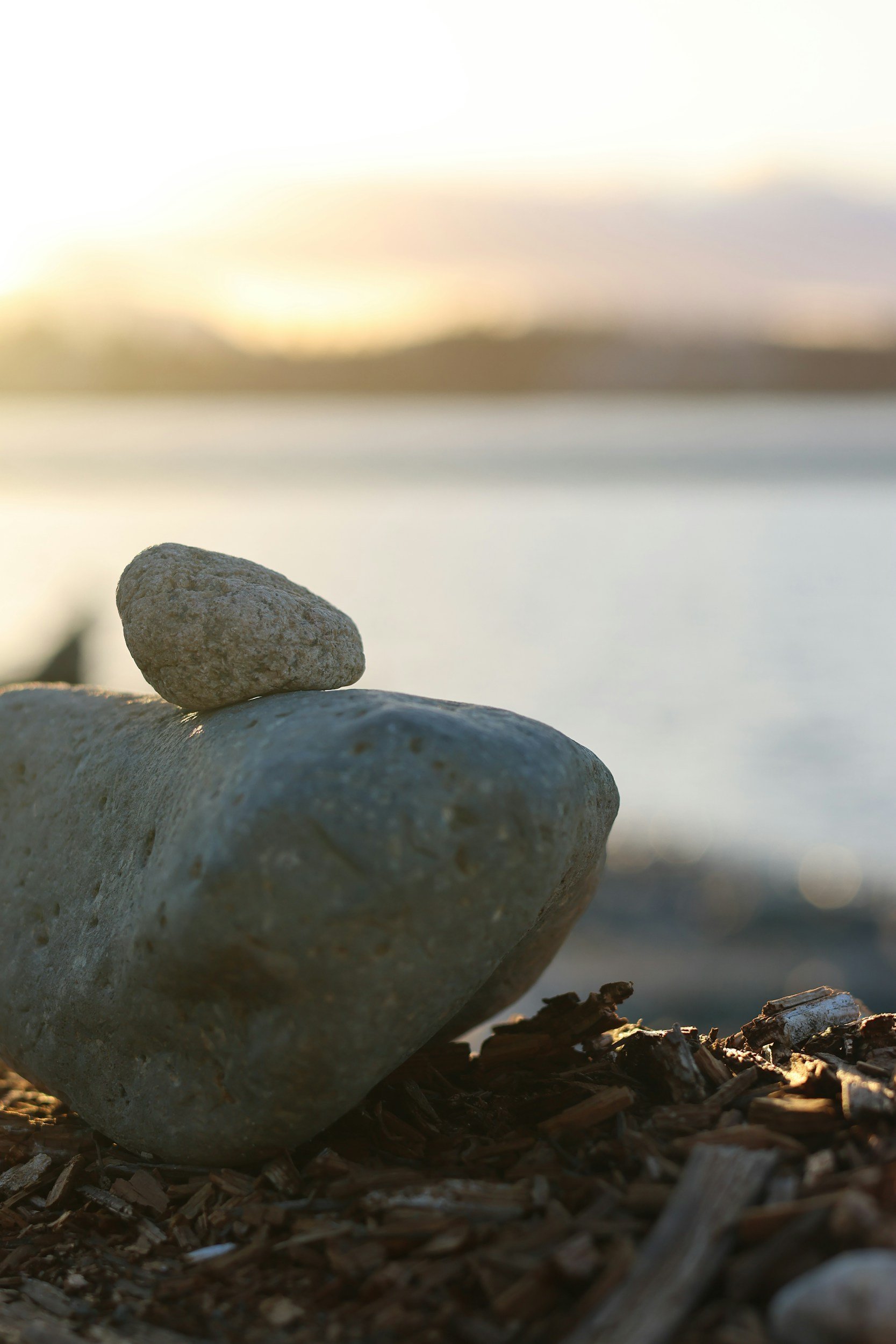 DBT for Eating Disorders: How Emotion Regulation Supports Recovery
