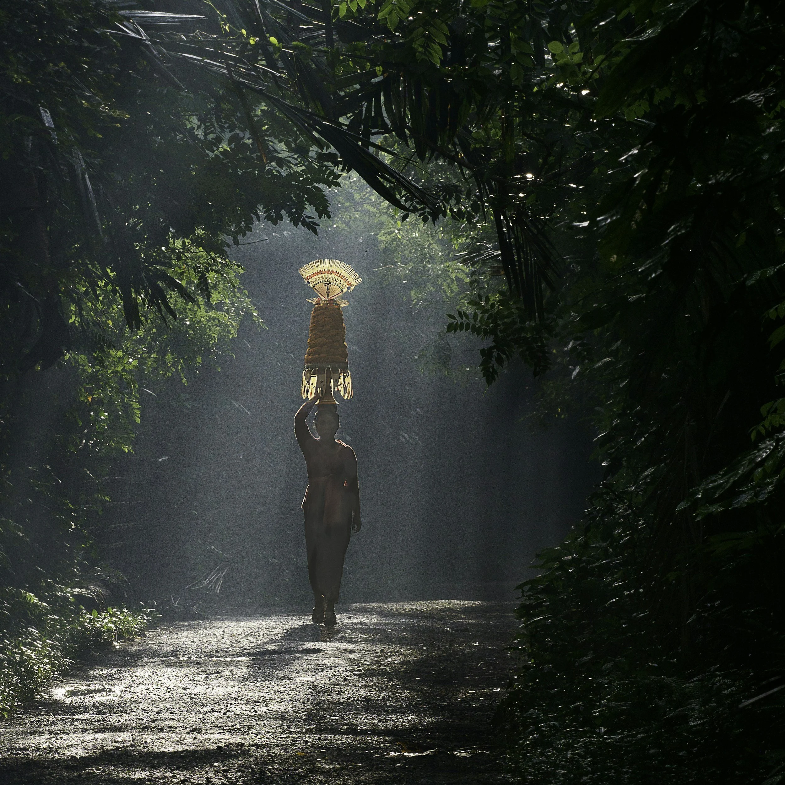 You Don’t Have to Forgive to Heal: What a Therapist Wants You to Know