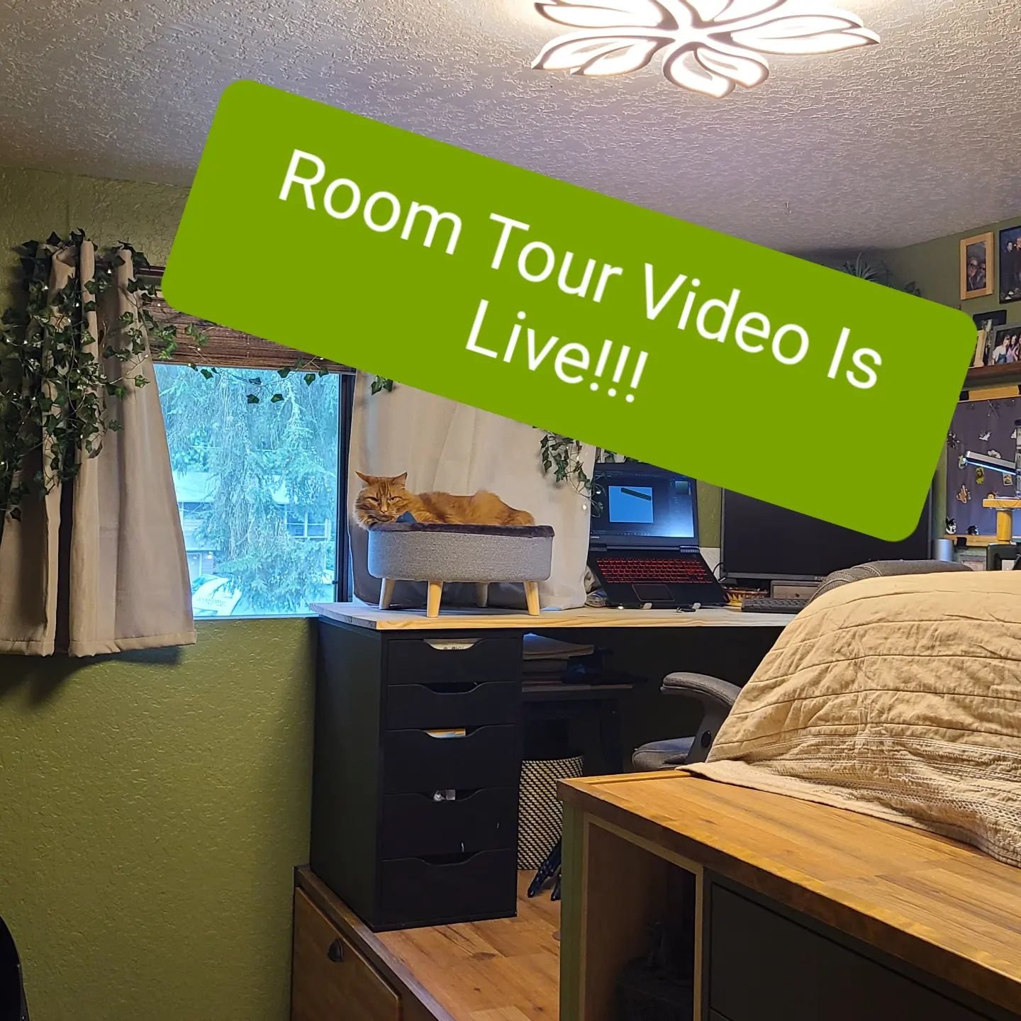 I did it yall!! My first youtube video is up! Link in my bio. It was a journey and a test of my poor little laptops hardware (it doesn't like video editting). I definitetly still have a lot to learn, but I really enjoyed making this video and have pl