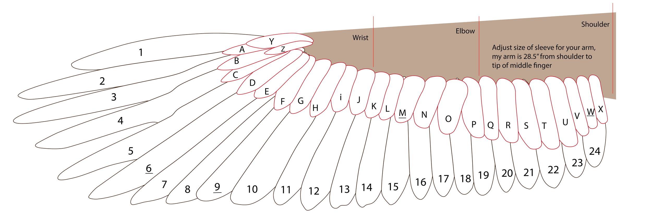Wing Design Layout.png