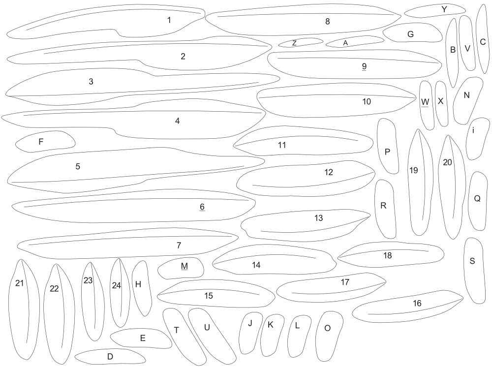 Feather Templates (FREE)