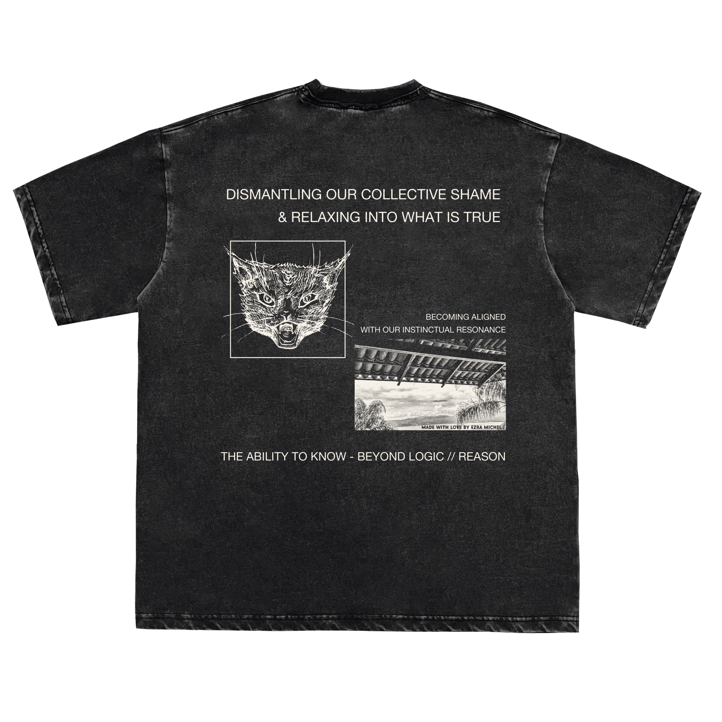 PROFANITY MOCK DISTRESSED BACK.png