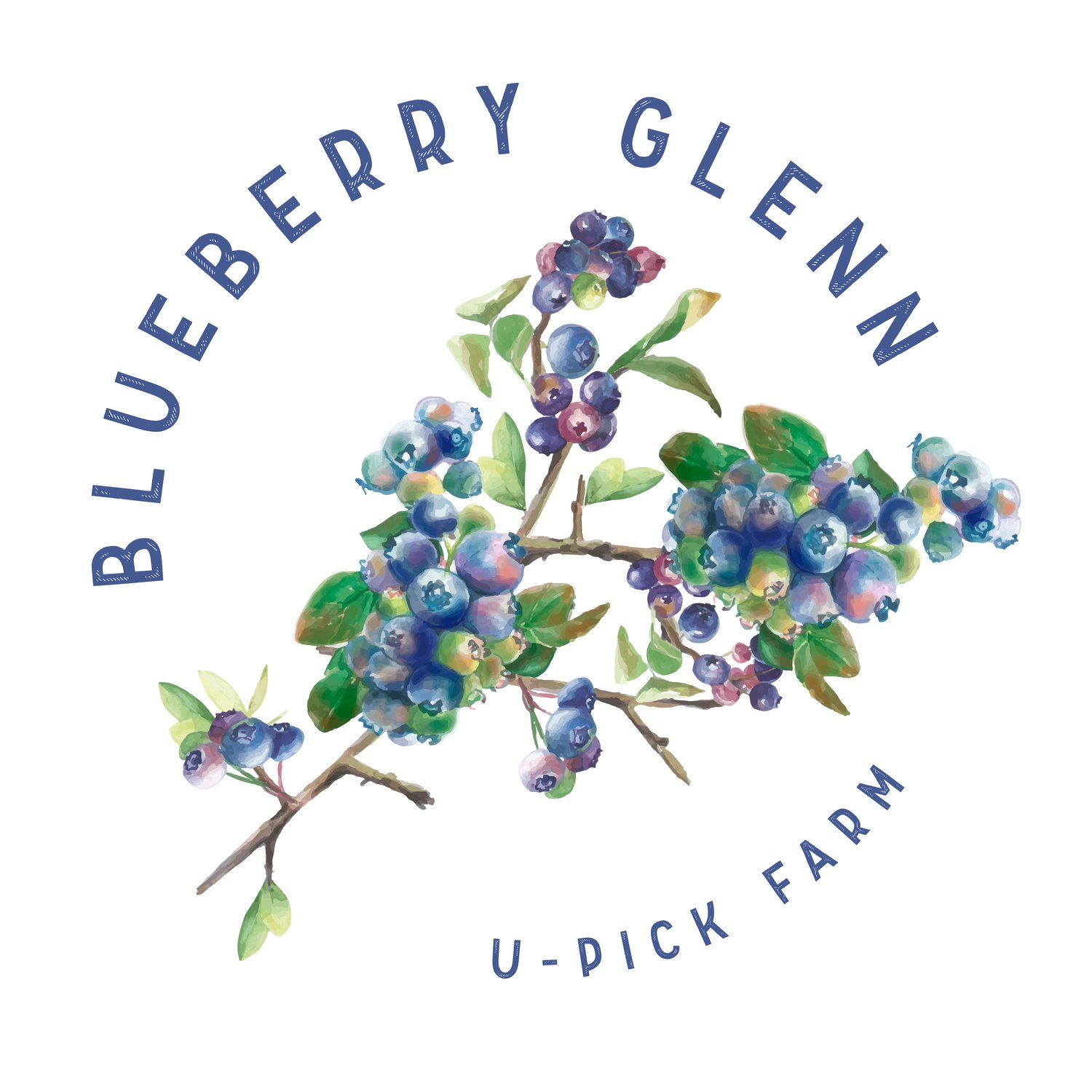 Blueberry Glenn