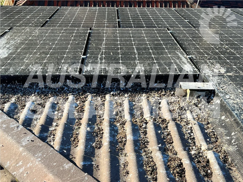 Empowering Your Solar Panel Journey: Explore the Australian Solar Mesh ...