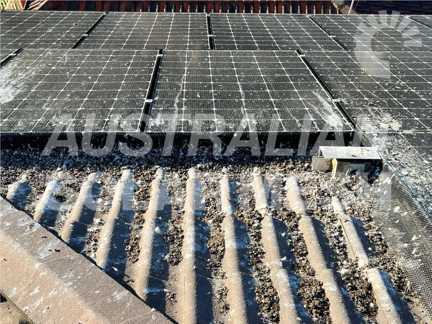 Empowering Your Solar Panel Journey: Explore the Australian Solar Mesh ...
