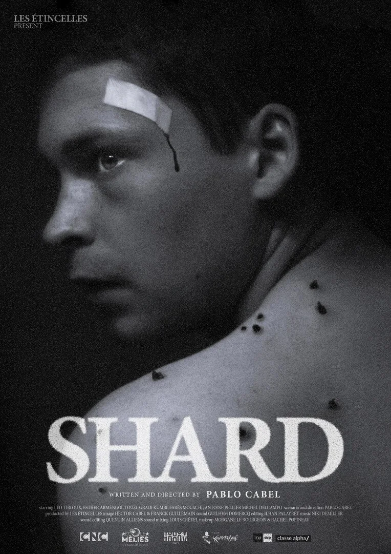 Photo 2 shard_-_poster.jpg