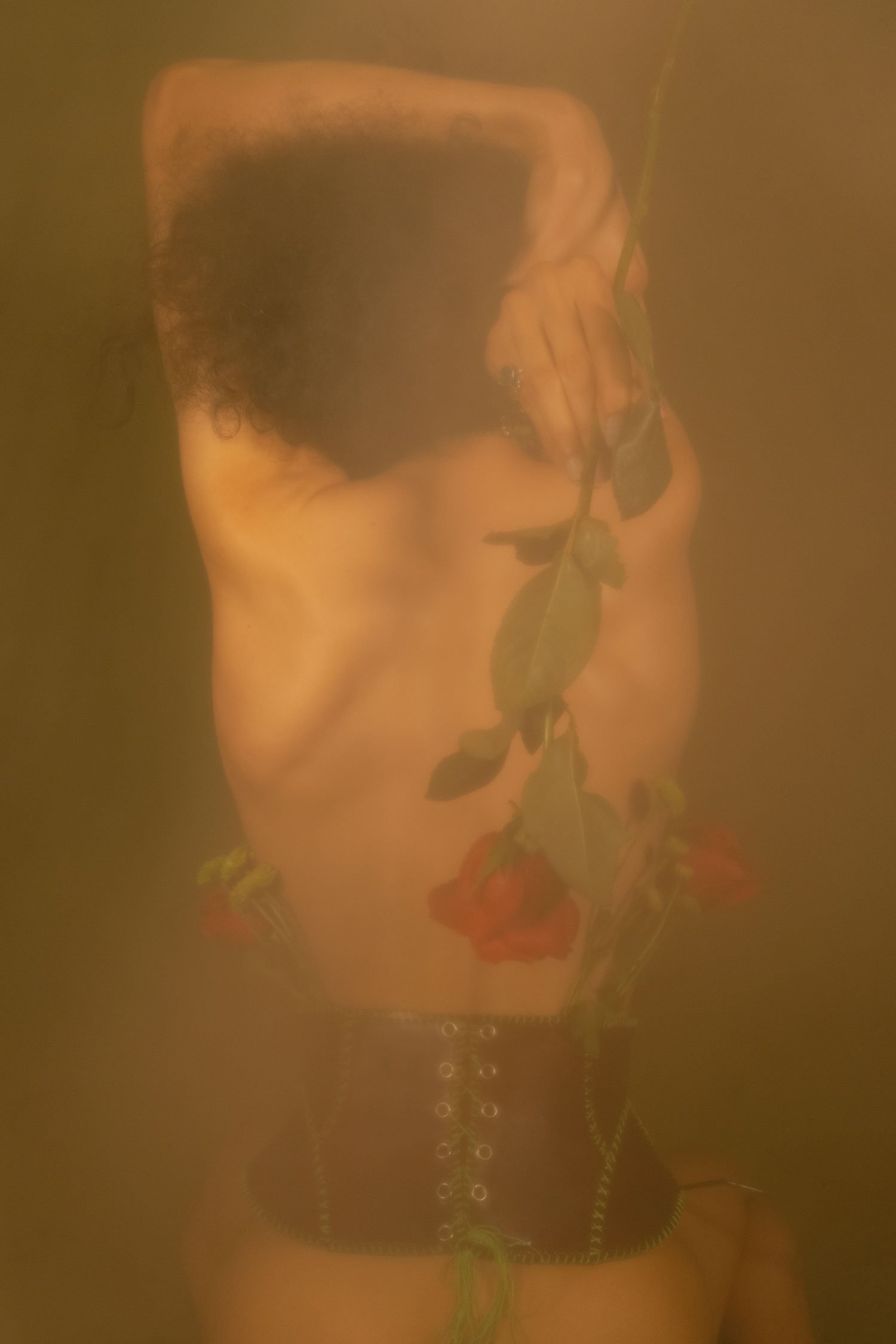DSCF7908.jpg