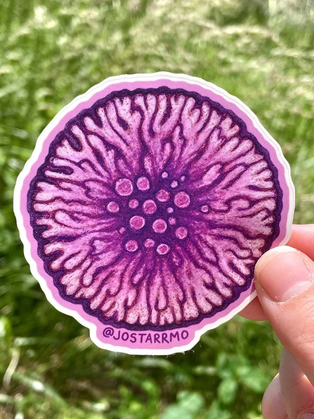 Purple Lichen Sticker Product Image.jpg