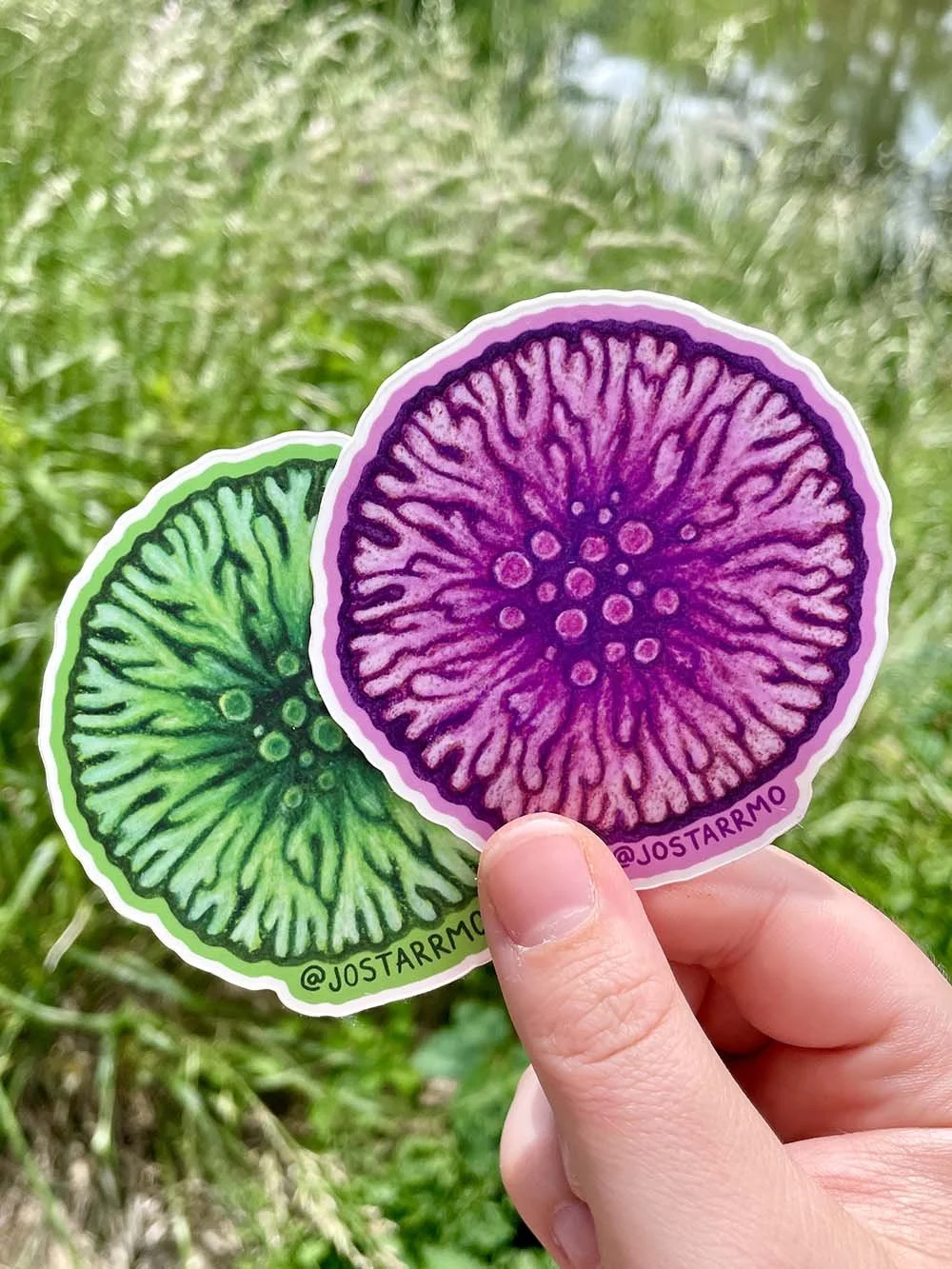 Lichen Duo Sticker Product Image.jpg