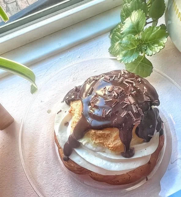 Chocolate-covered pastry with chocolate shavings on top, served on a glass plate next to green potted plants on a windowsill.