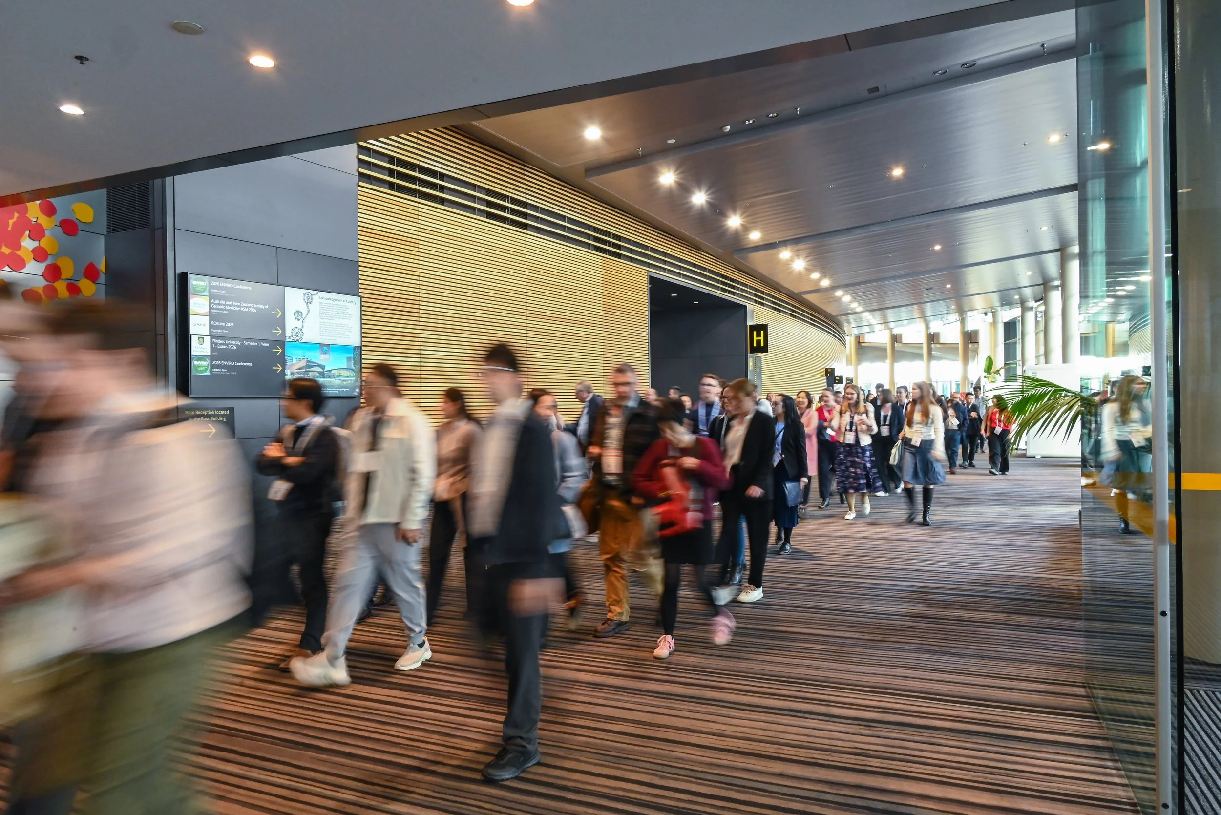 Adelaide26_368.jpg
