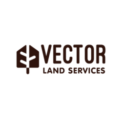 Vector LS.png