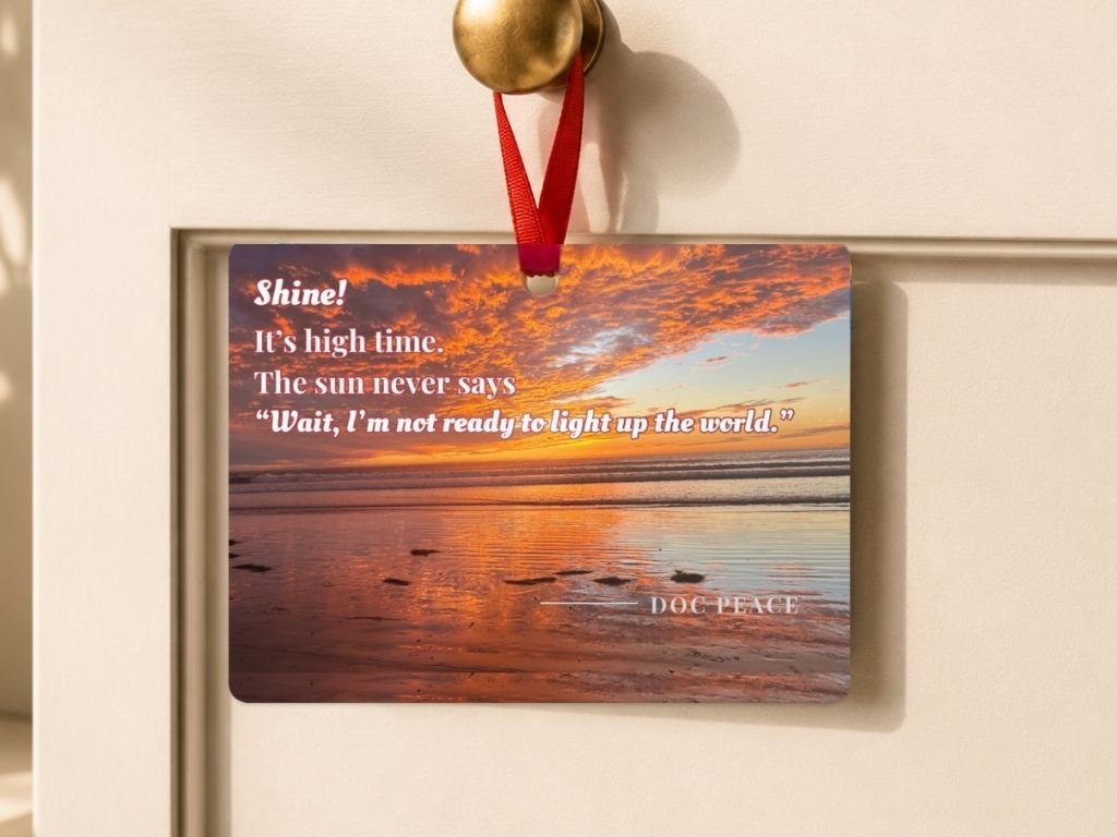 Shine! Keepsake Ornament