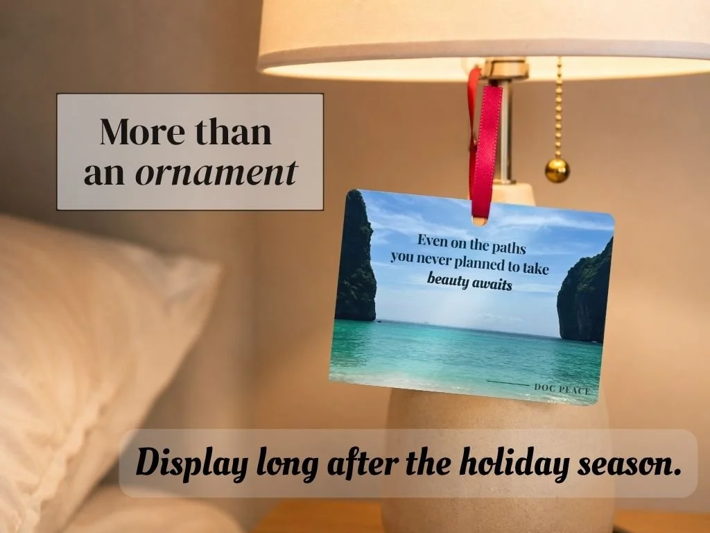 beauty-awaits-home-decor-ornament.JPEG