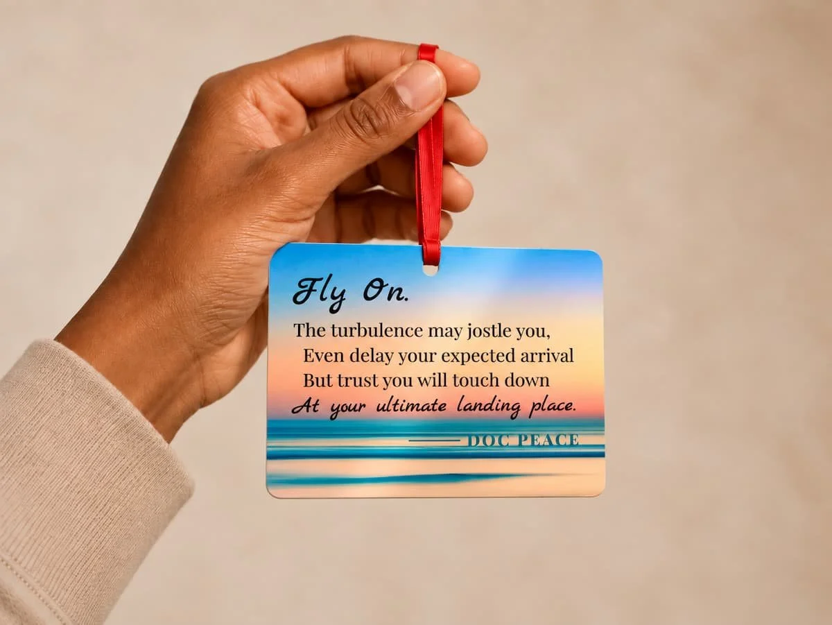 Fly-on-metal-ornament-in-hand.jpg
