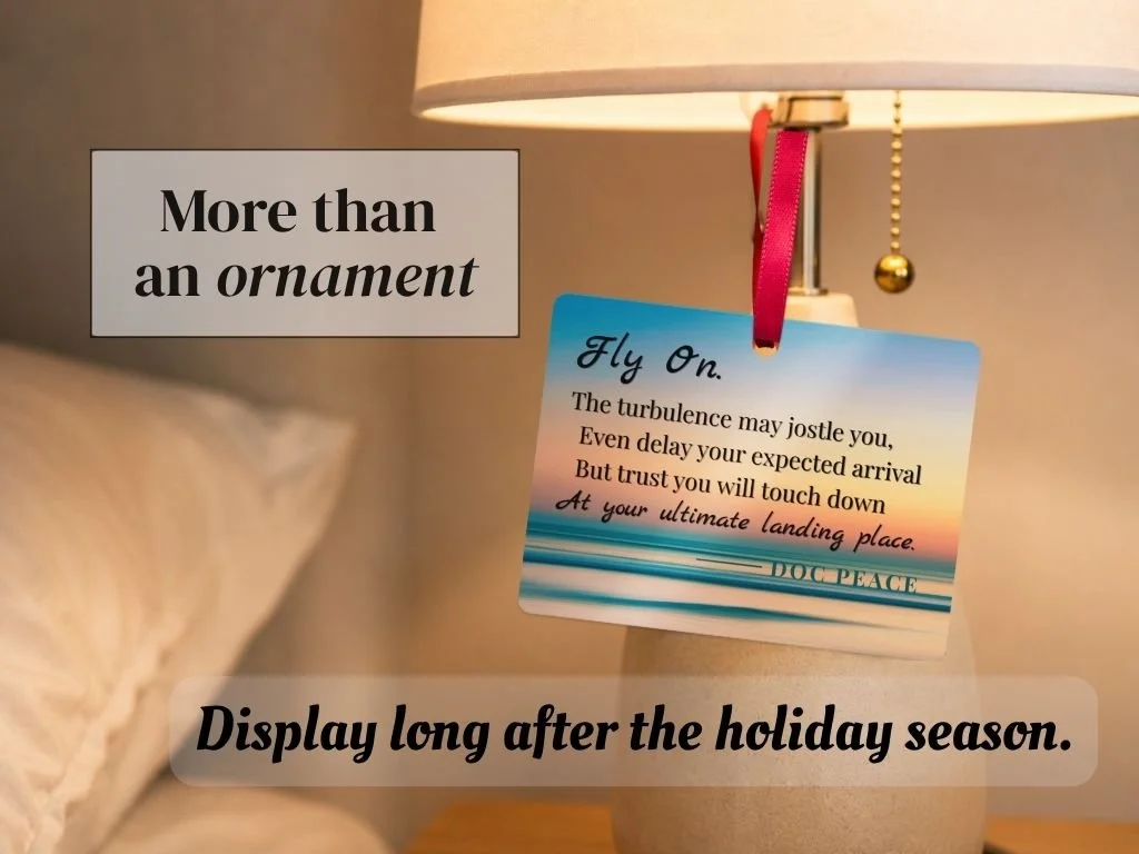 fly-on-home-decor-ornament.JPEG