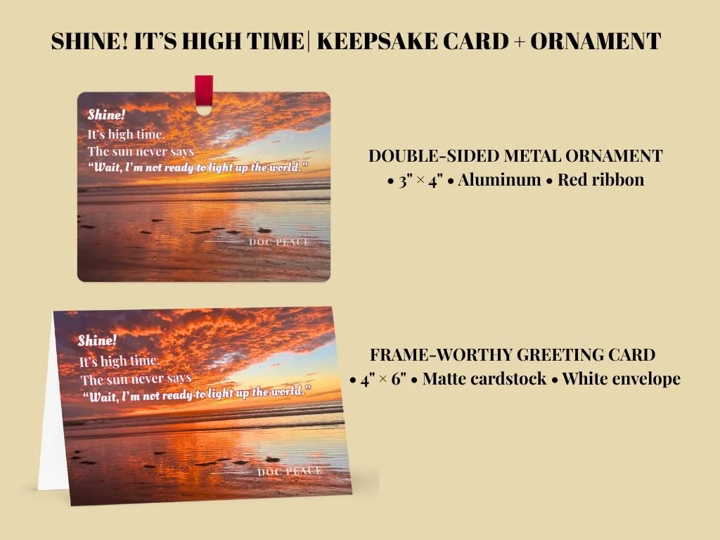 shine-card-ornament-bundle-details.jpg