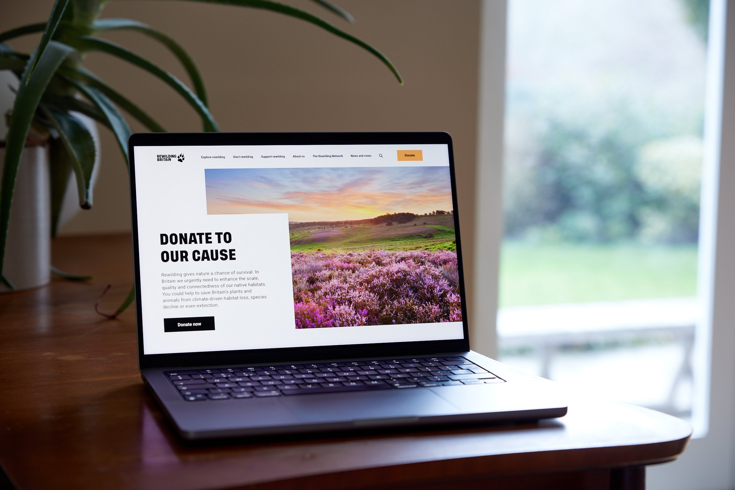Website UI template refresh for rewilding charity