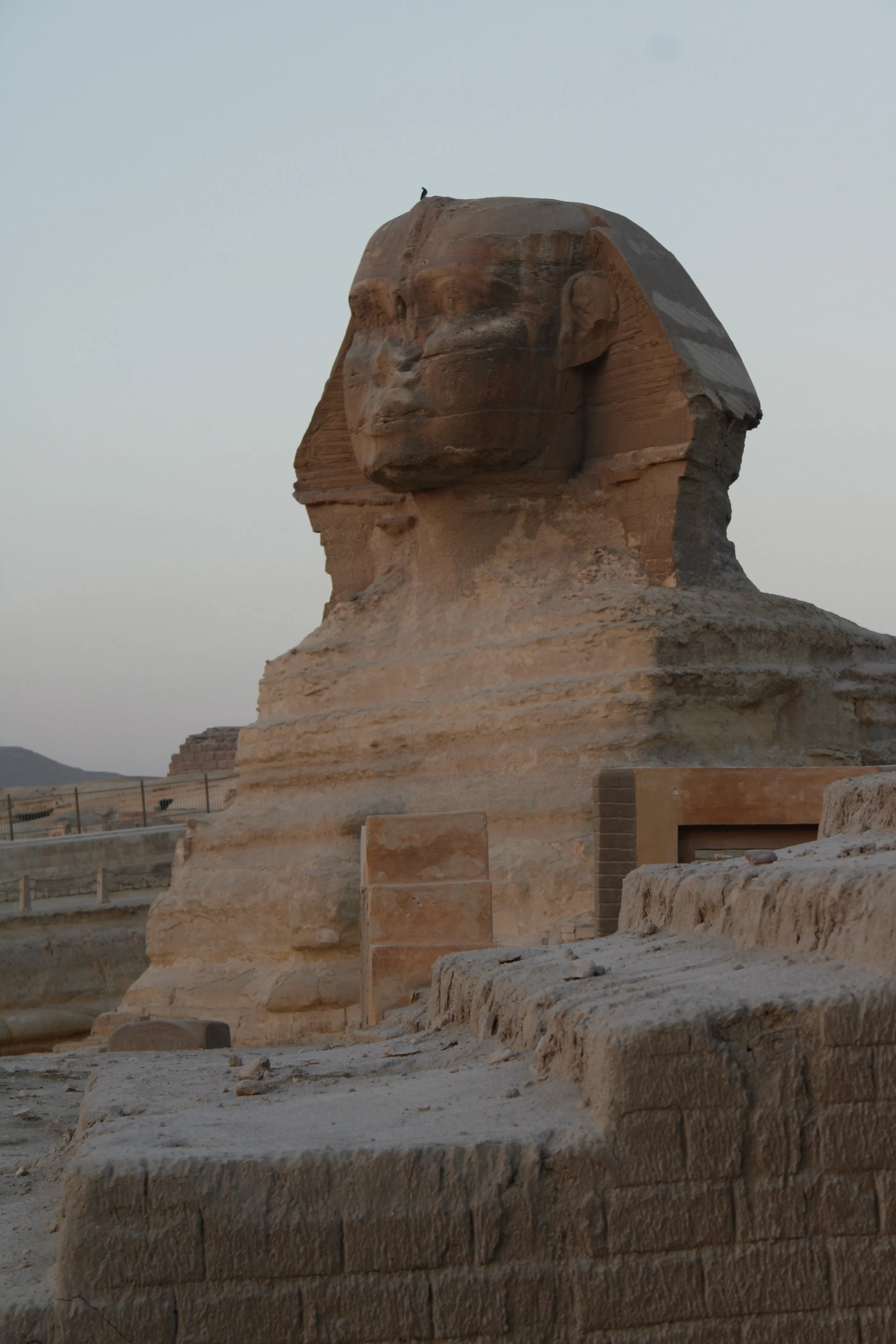 _MG_6954.jpg