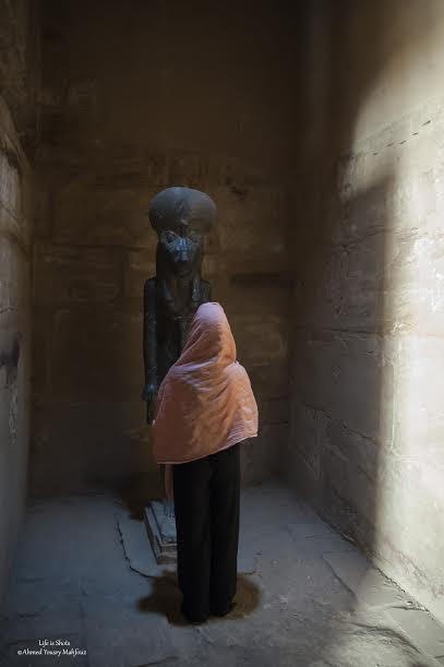 dee sekhmet.jpg