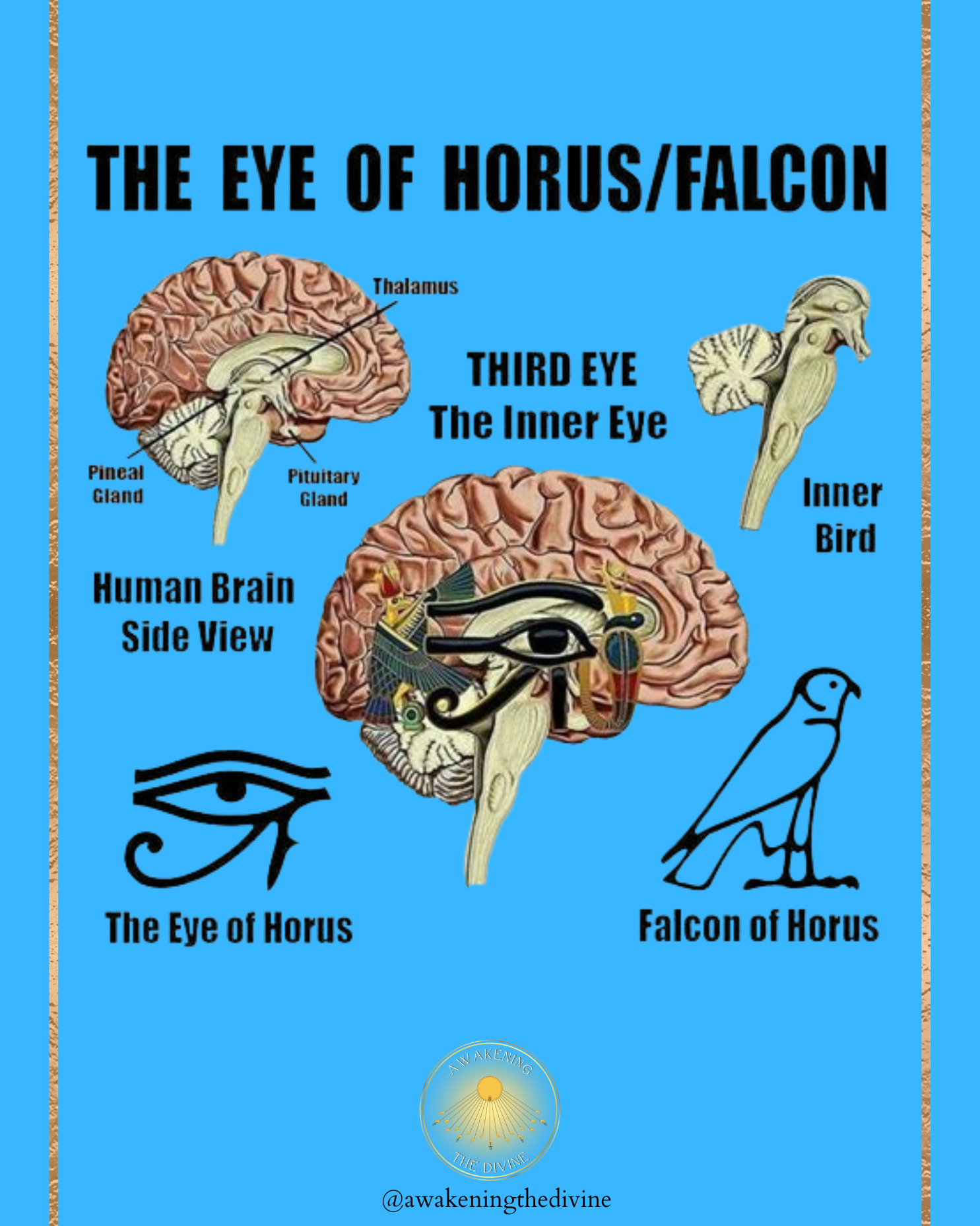 12.png