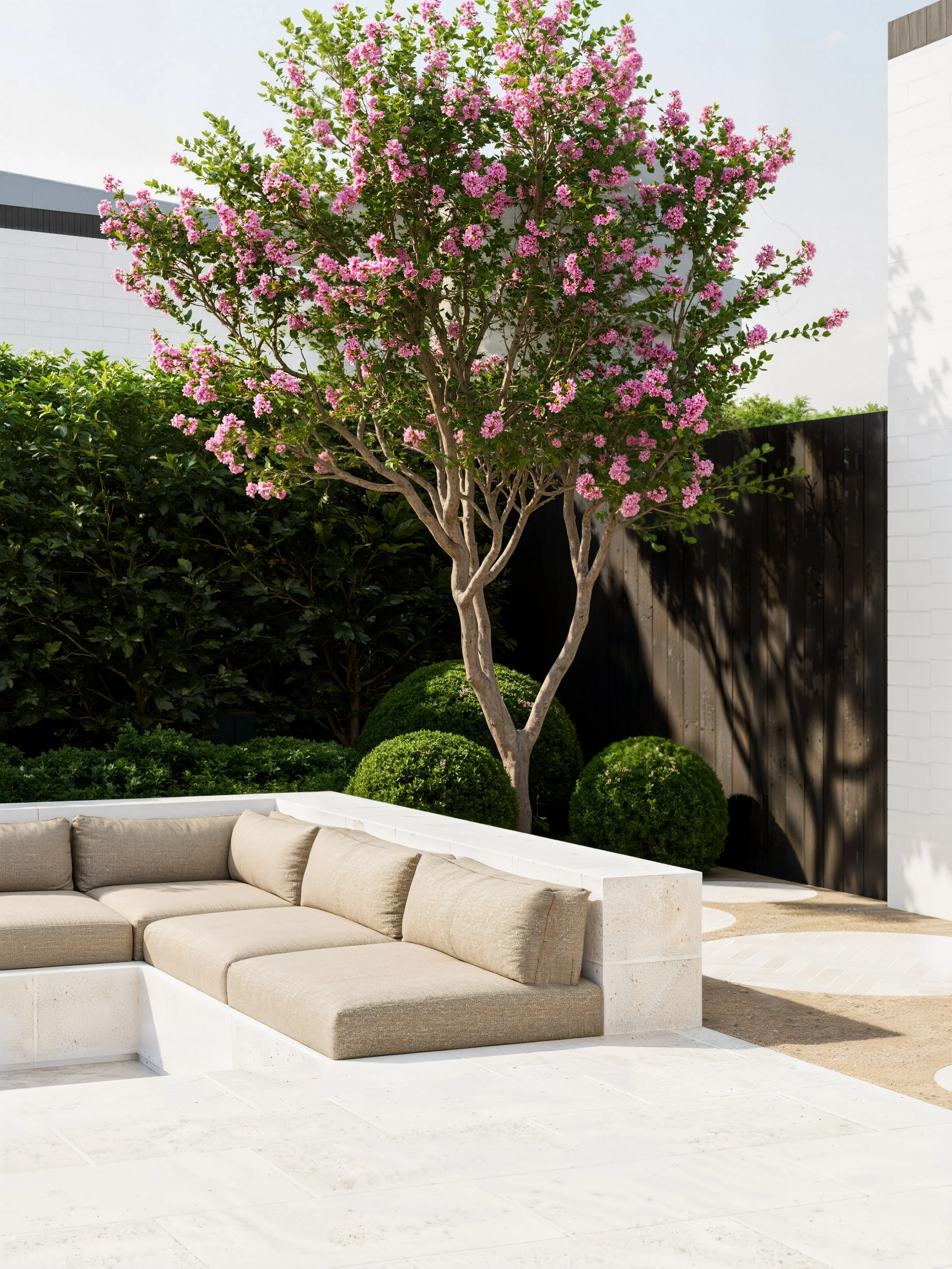 Buchanan-Scene 3.jpg