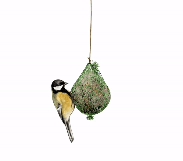 birds.gif