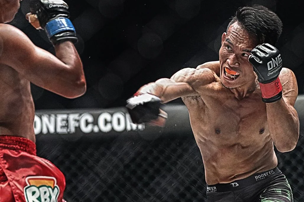 MMA (GRAPPLING & STRIKING)