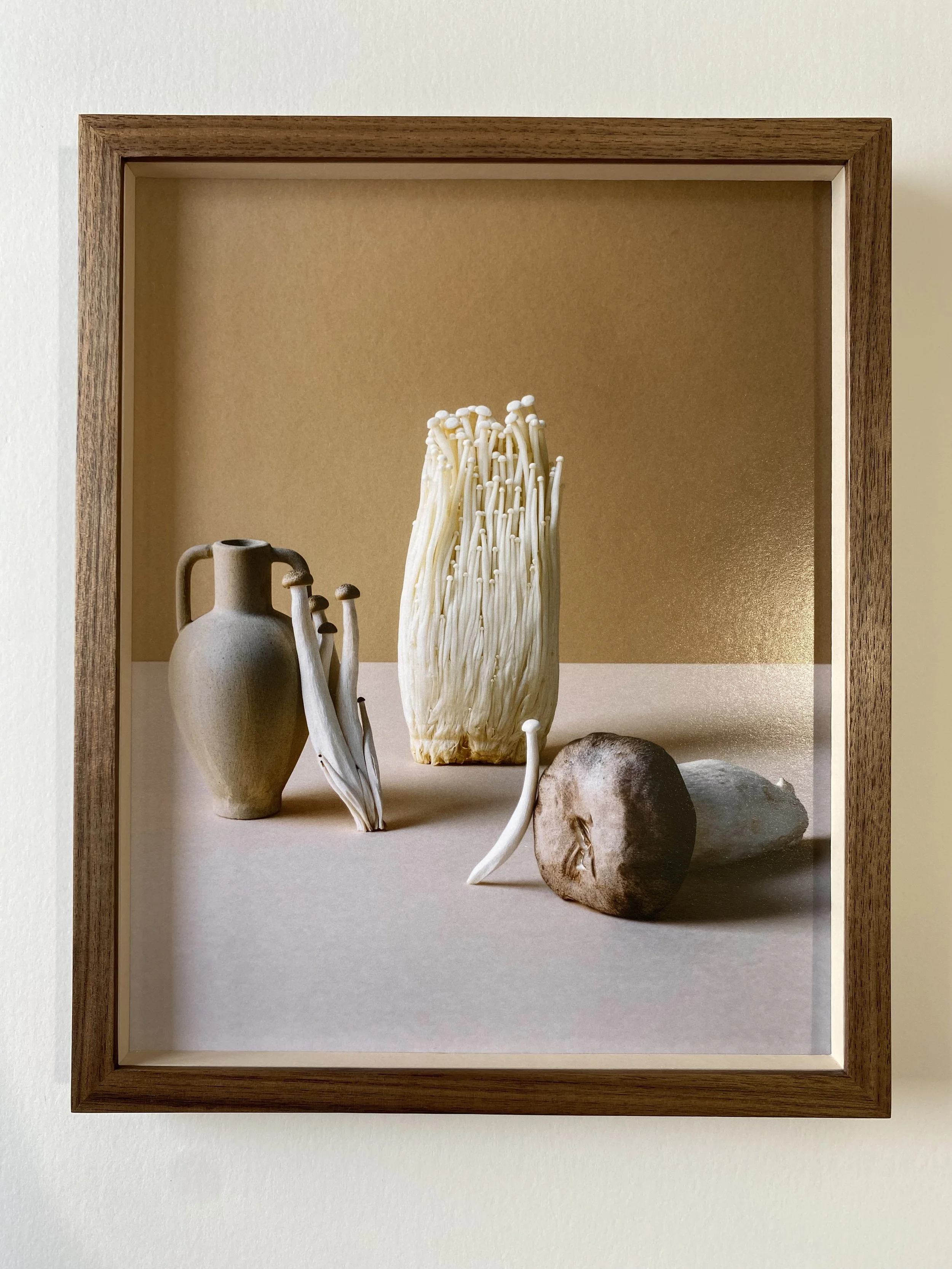 Liam Rimmington still life photograph close framed