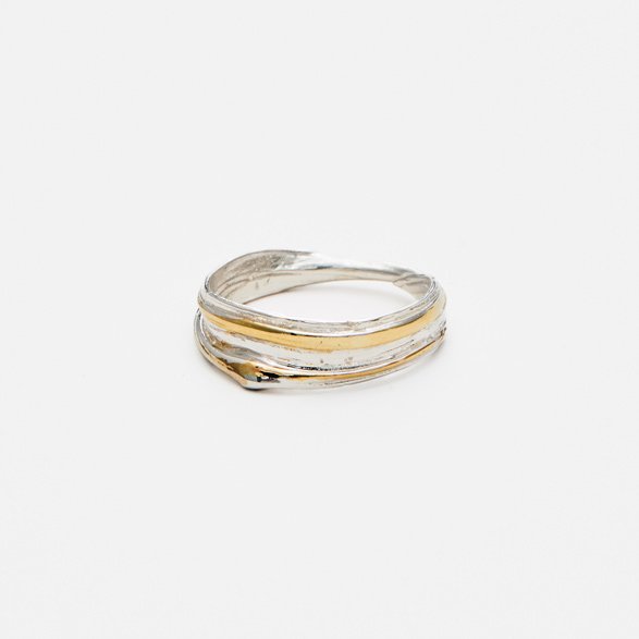 gold and silver ring