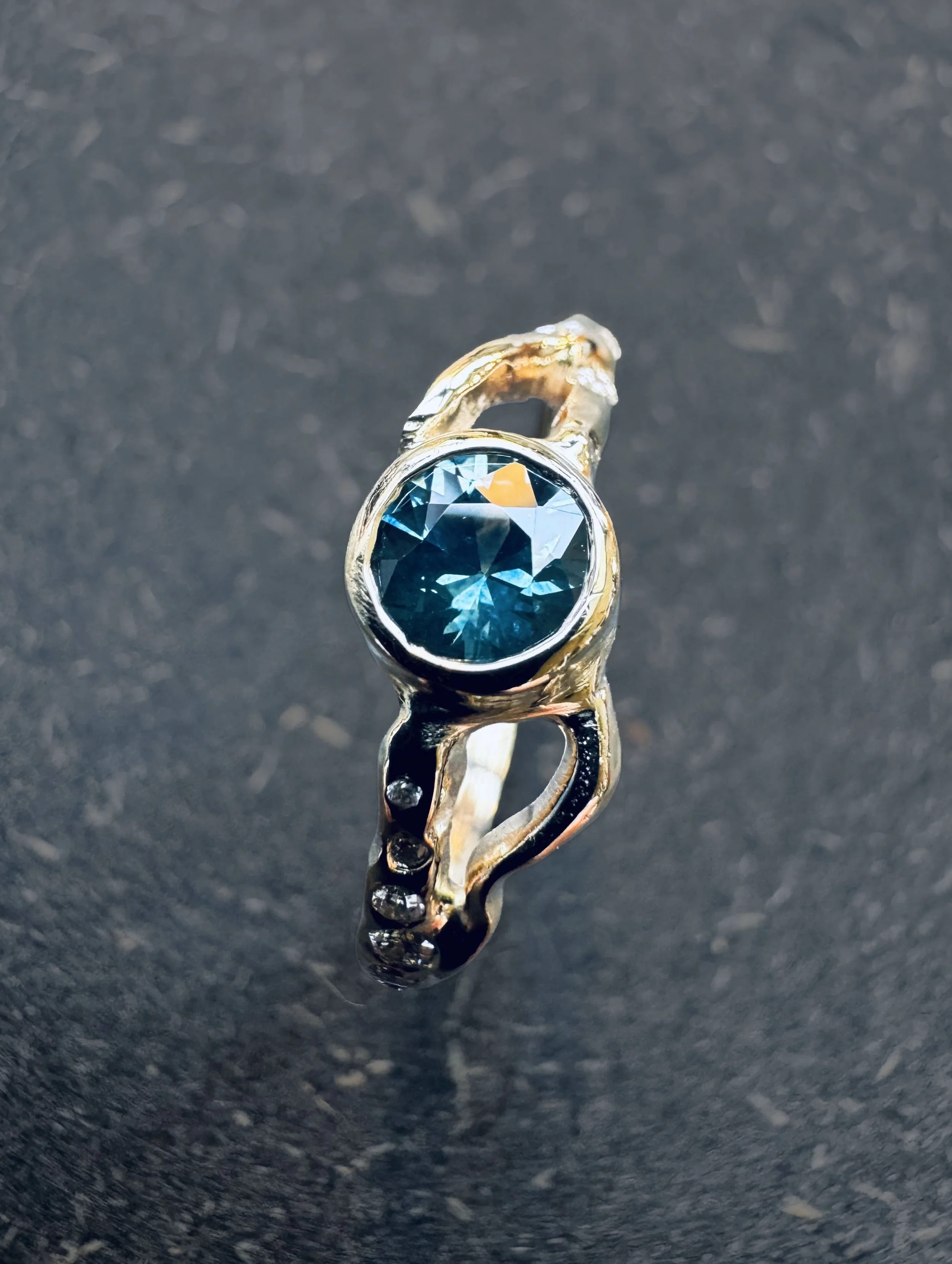 Minouche_Harald_ring_side.jpg