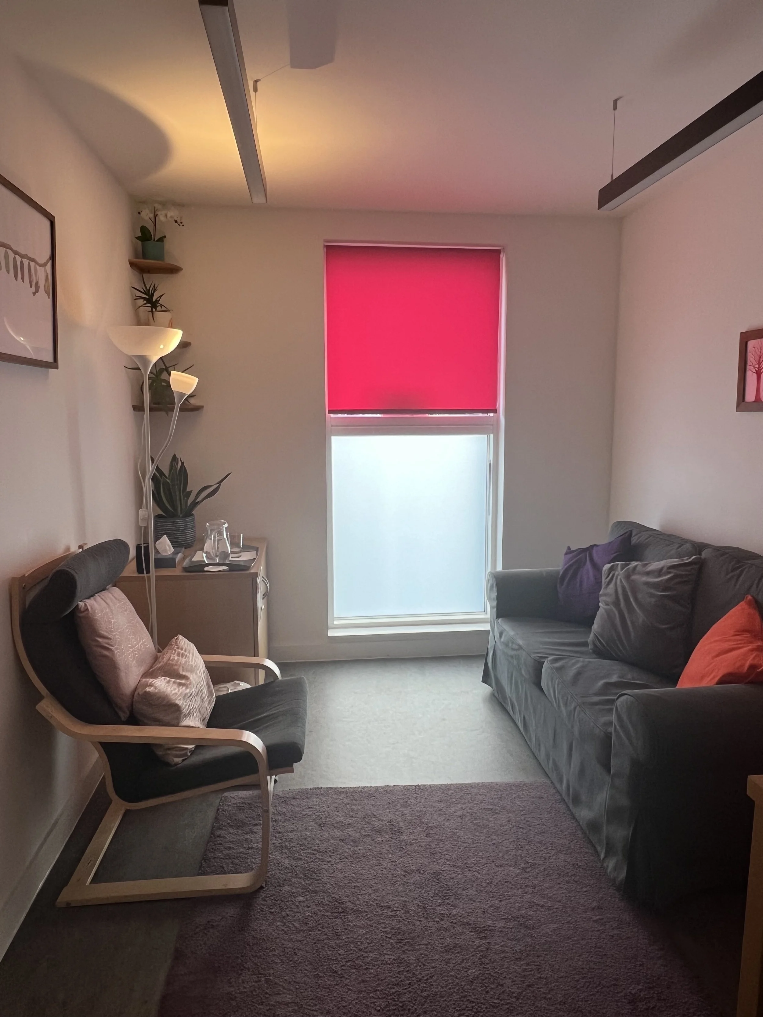 My SFH Therapy Space