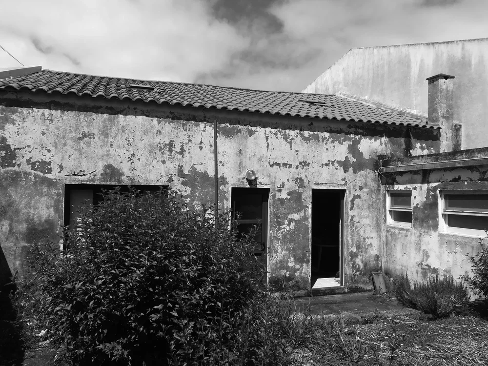 01 rosinha.webp