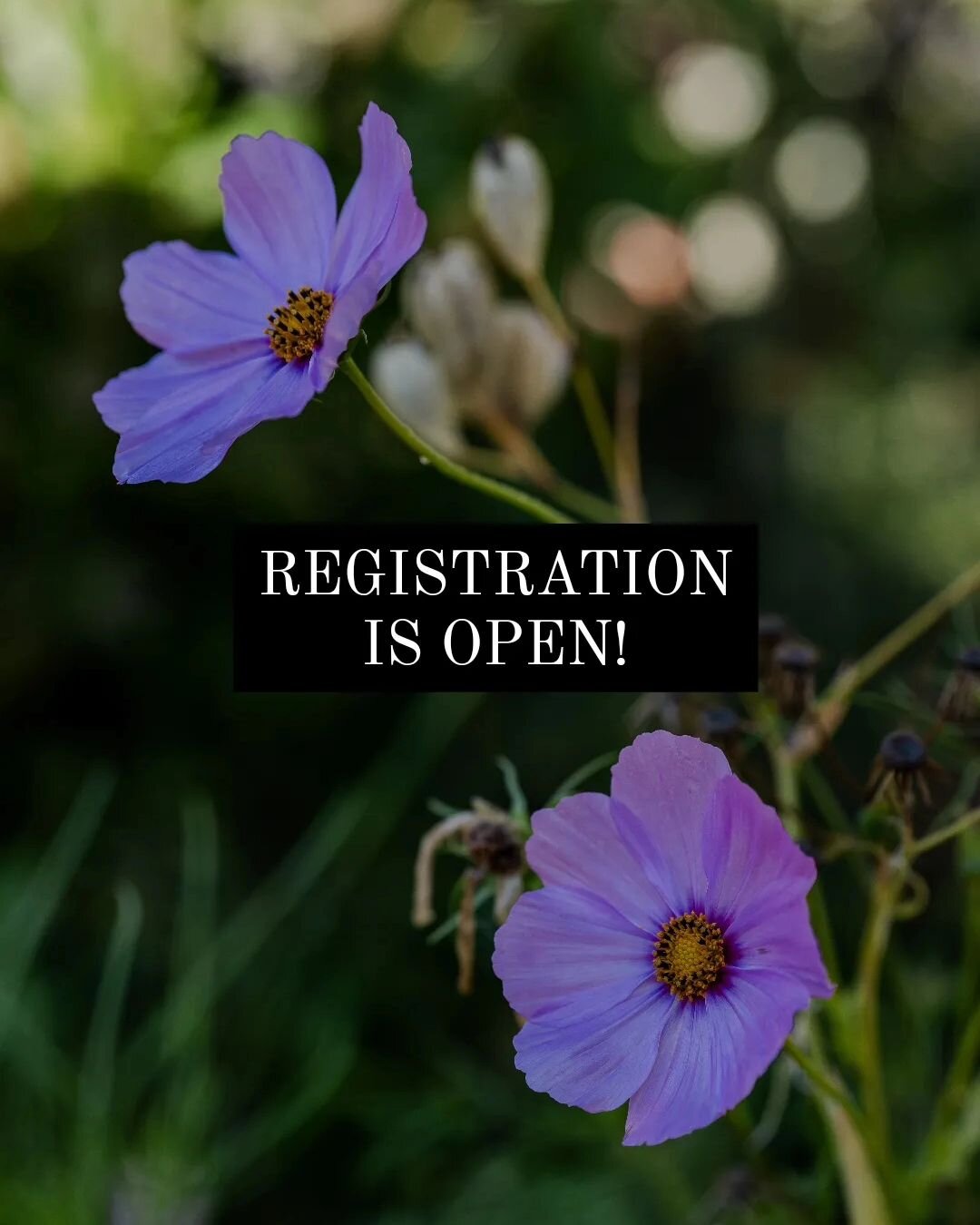 Registration is open! Click &quot;register now&quot; on Flourish's website and create a new user account for 2024/2025 programming! Can't wait to see who is joining us!!!!🥰