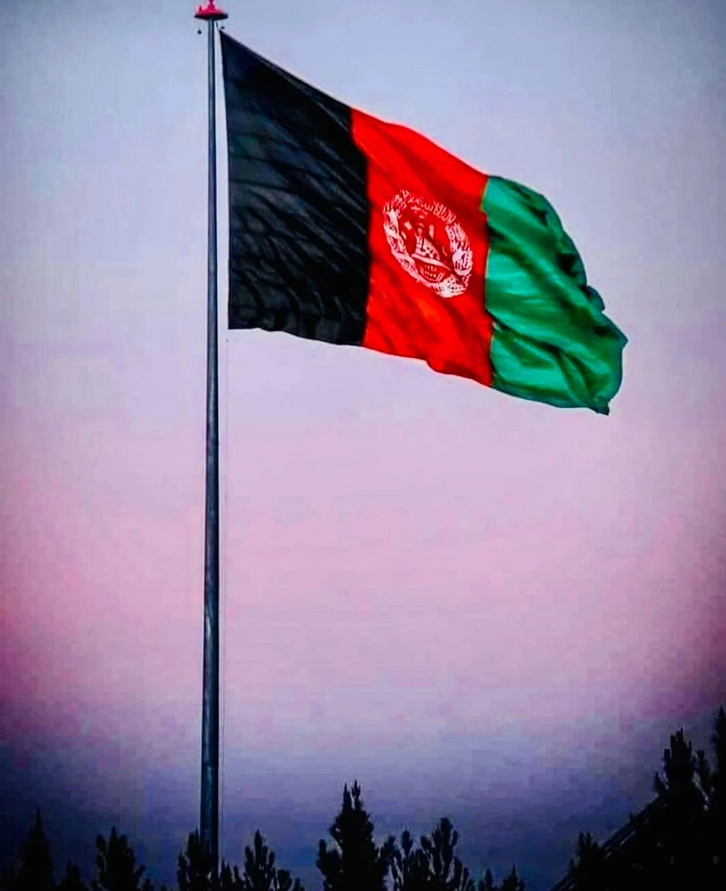 Zindabad Afghanistan 🇦🇫