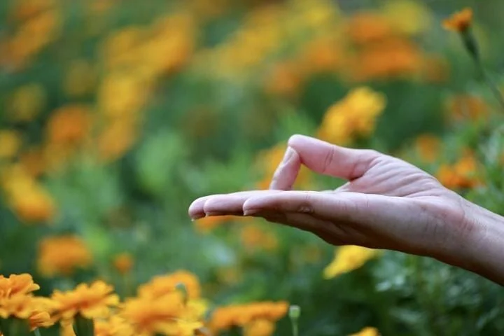 &ldquo;Yoga is not a work-out; it is a work-in. And this is the point of spiritual practice, to make us teachable, to open up our hearts, and focus our awareness so that we can know what we already know and be who we already are.&rdquo;🌼
 &mdash;&nb