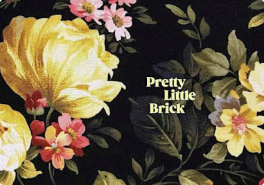 “Pretty Little Brick” Book Presentation